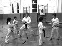 Dojo 2013-47